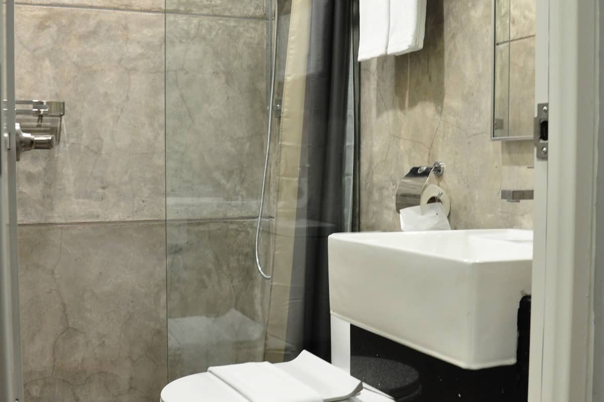 shower, free toiletries, hair dryer, bidet