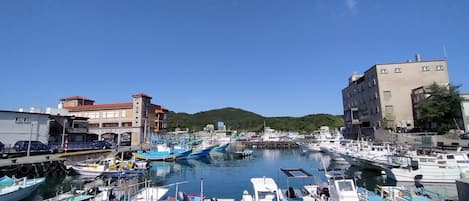 Esterni