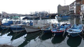 Puerto deportivo