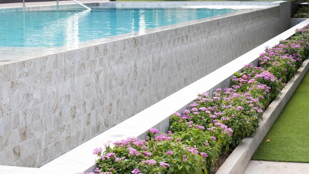 A swimming pool with a marble border, a flower bed with pink flowers, and two lounge chairs.