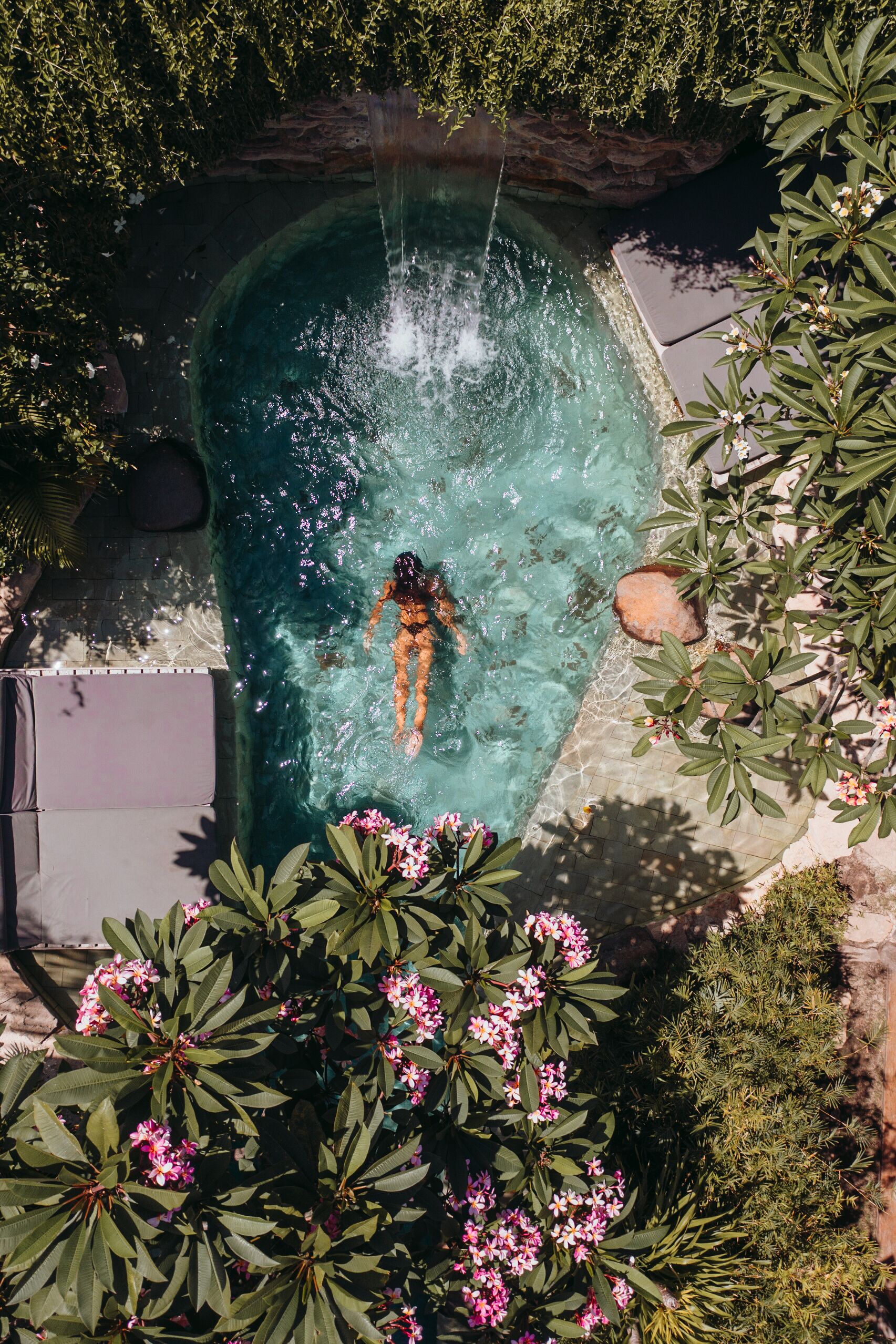 A swimming pool surrounded by lush greenery and flowering plants.