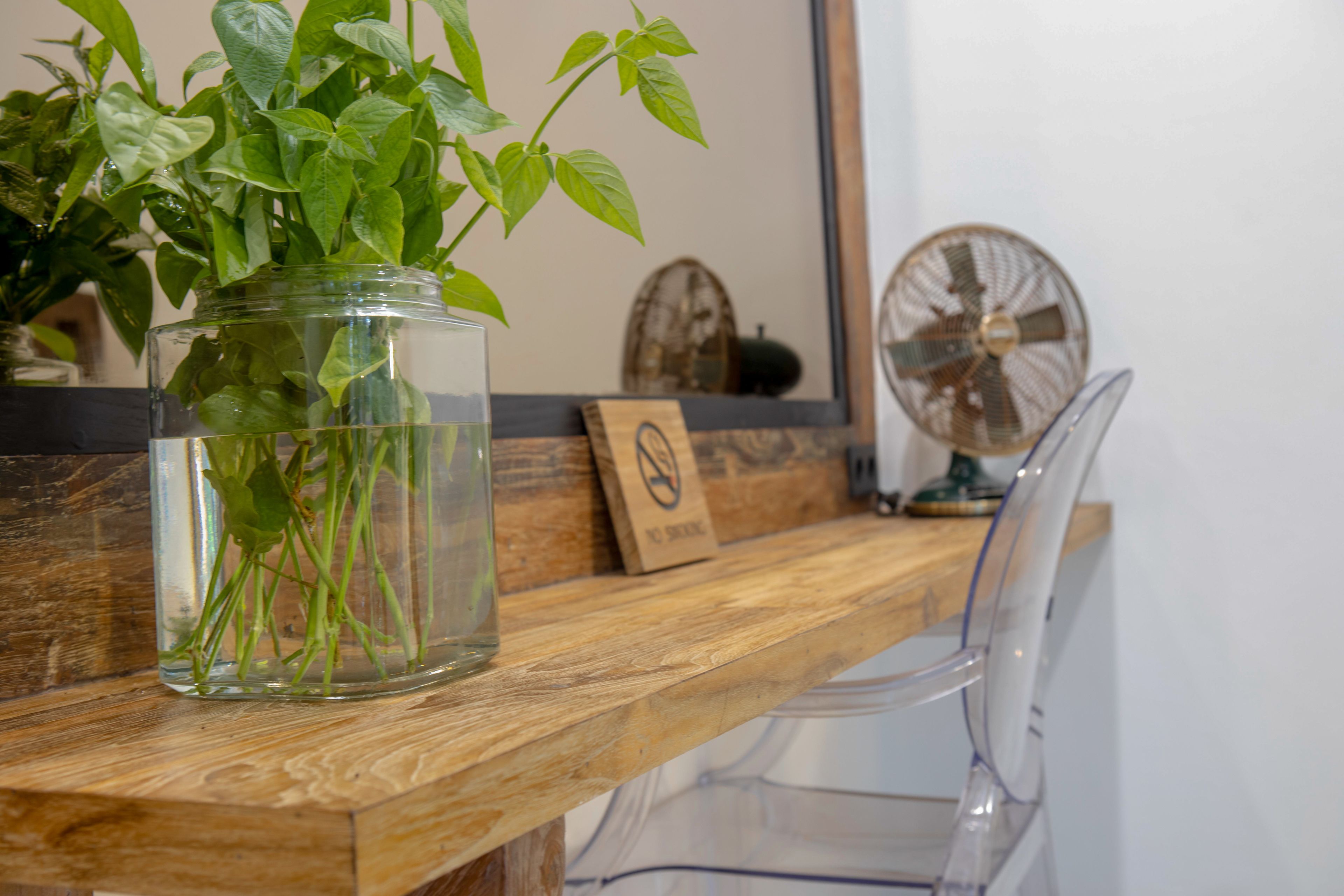 A wooden table with a glass jar containing green plants, a clear plastic chair, and a fan in the background.