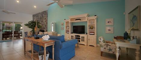 Smart TV, fireplace, DVD player, books