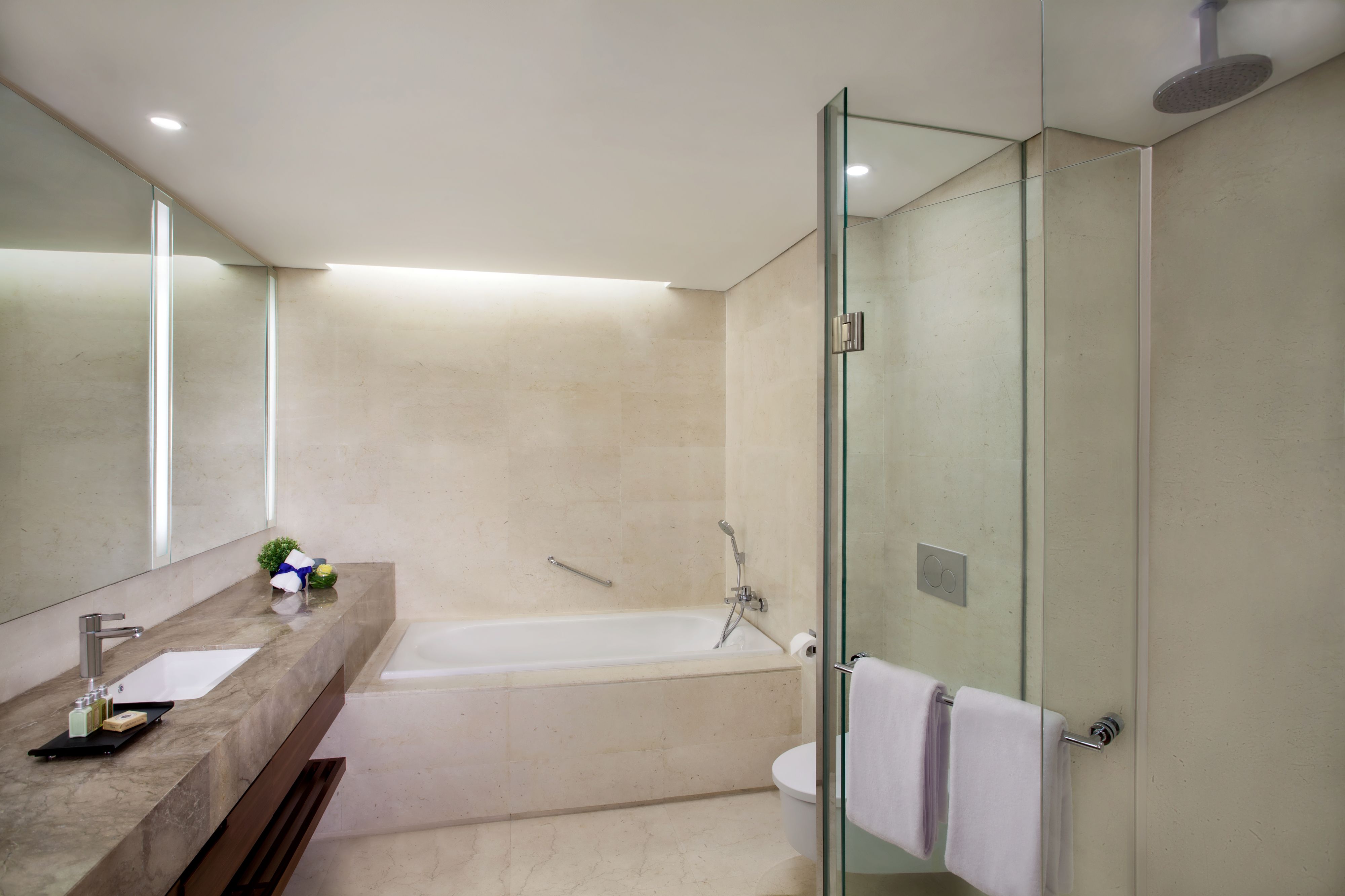 separate bathtub and shower, eco-friendly toiletries, hair dryer