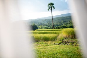 Gallery Room | 1 Schlafzimmer, Verdunkelungsvorhänge, kostenloses WLAN, Bettwäsche