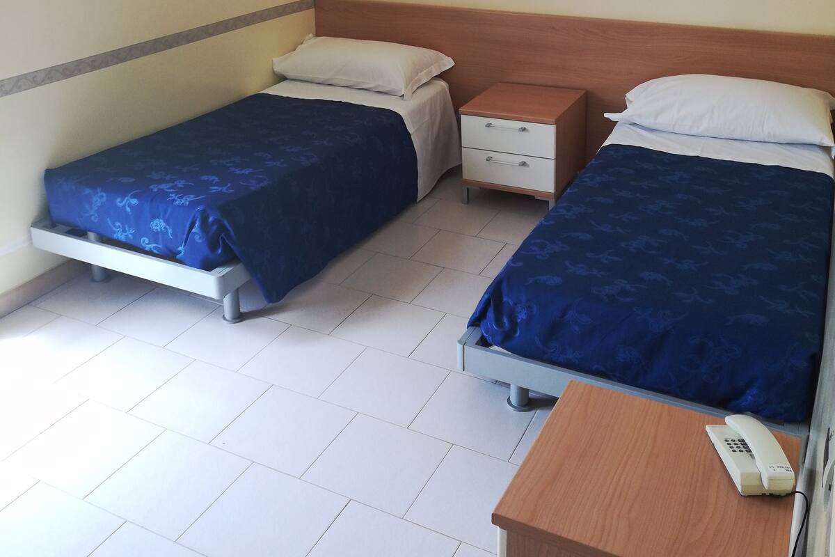 Double or Twin Room, City View | Desk, rollaway beds, free WiFi