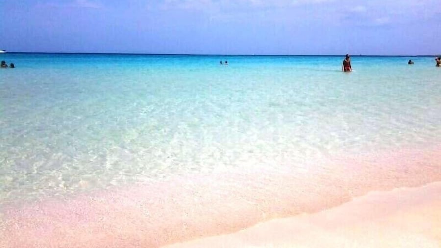 Hotel Ristorante Mediterraneo Faro