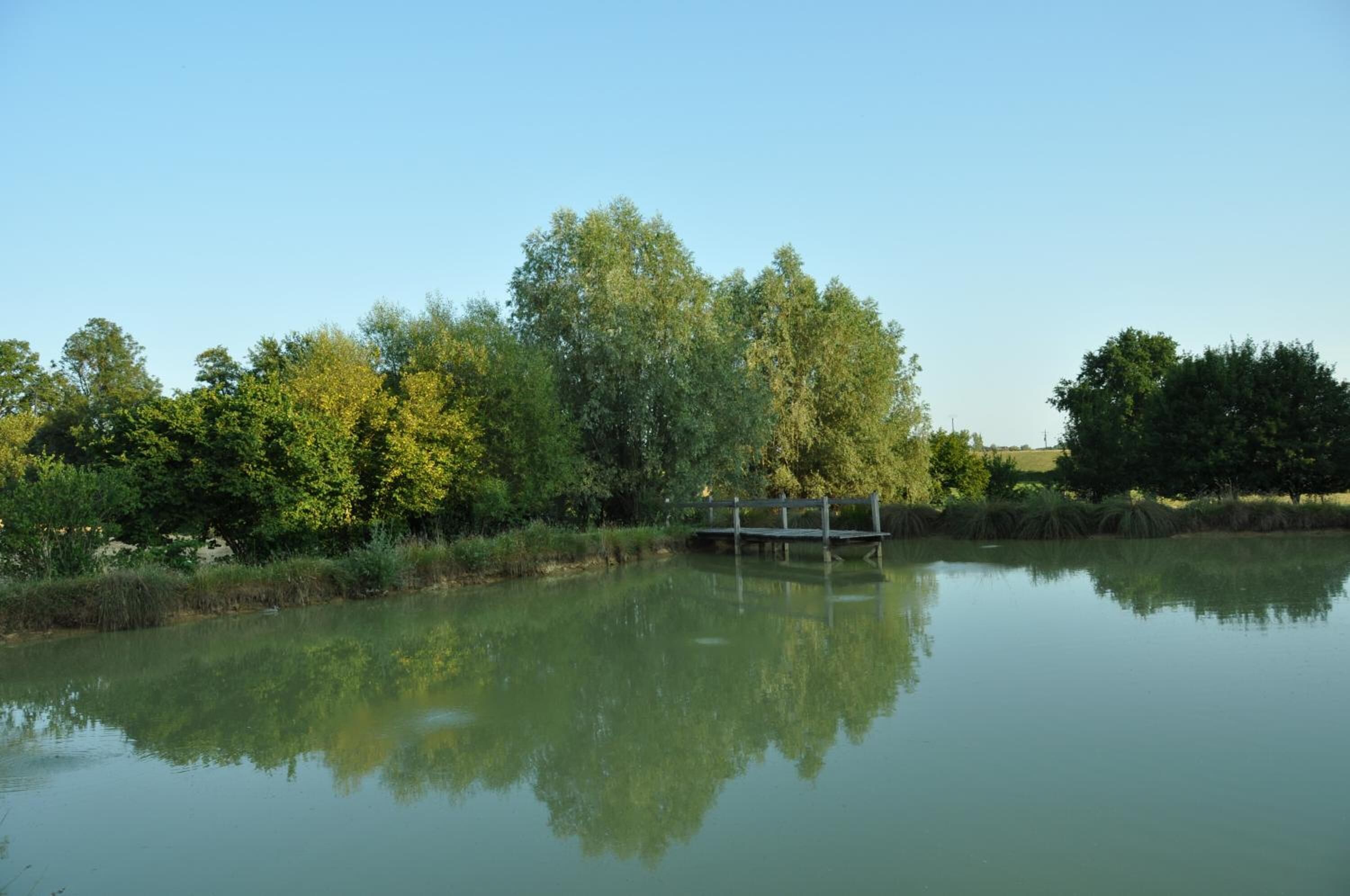 A calm lake with a wooden bridge, surrounded by dense trees and greenery.