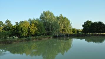 Un lago tranquilo con un puente de madera, rodeado de árboles y abundante vegetación.