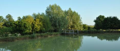A calm lake with a wooden bridge, surrounded by dense trees and greenery.