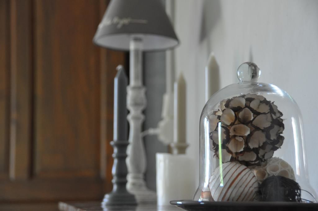 A table with a glass dome displaying seashells and a lamp.