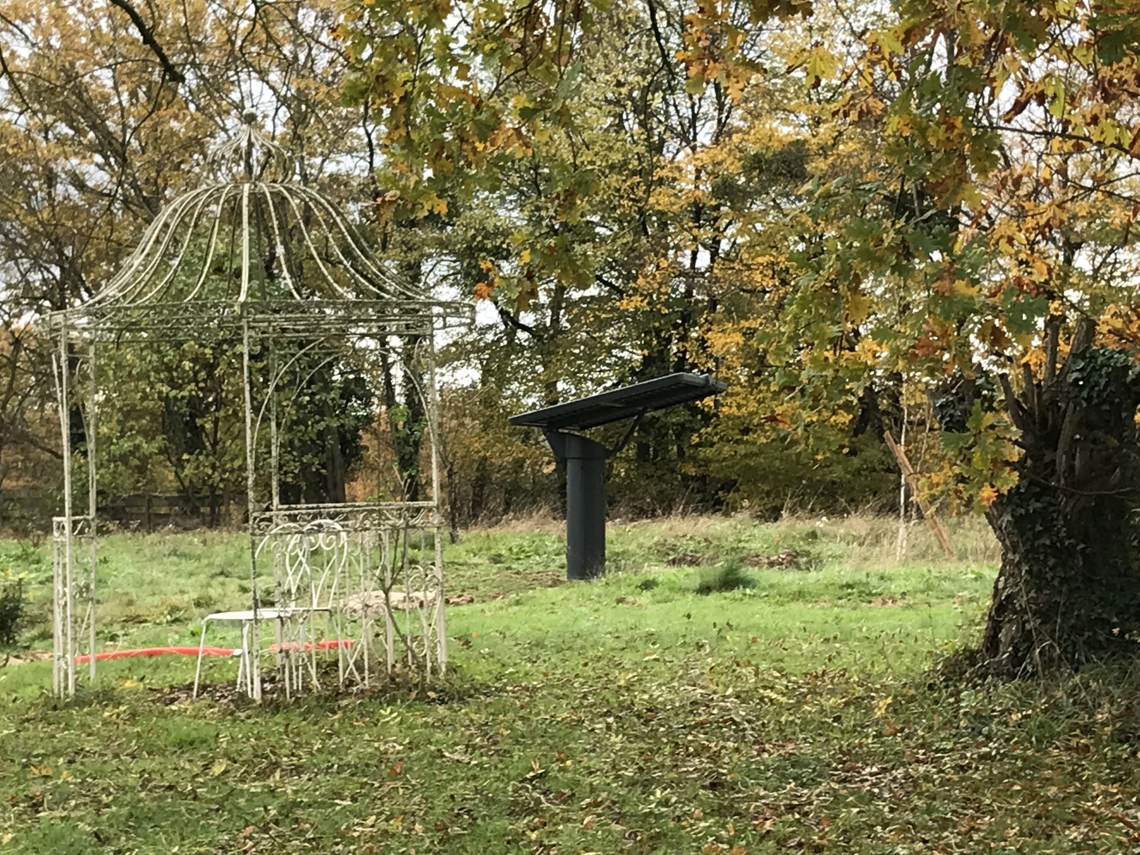 A gazebo with a metal frame and a bench, surrounded by trees with autumn leaves.