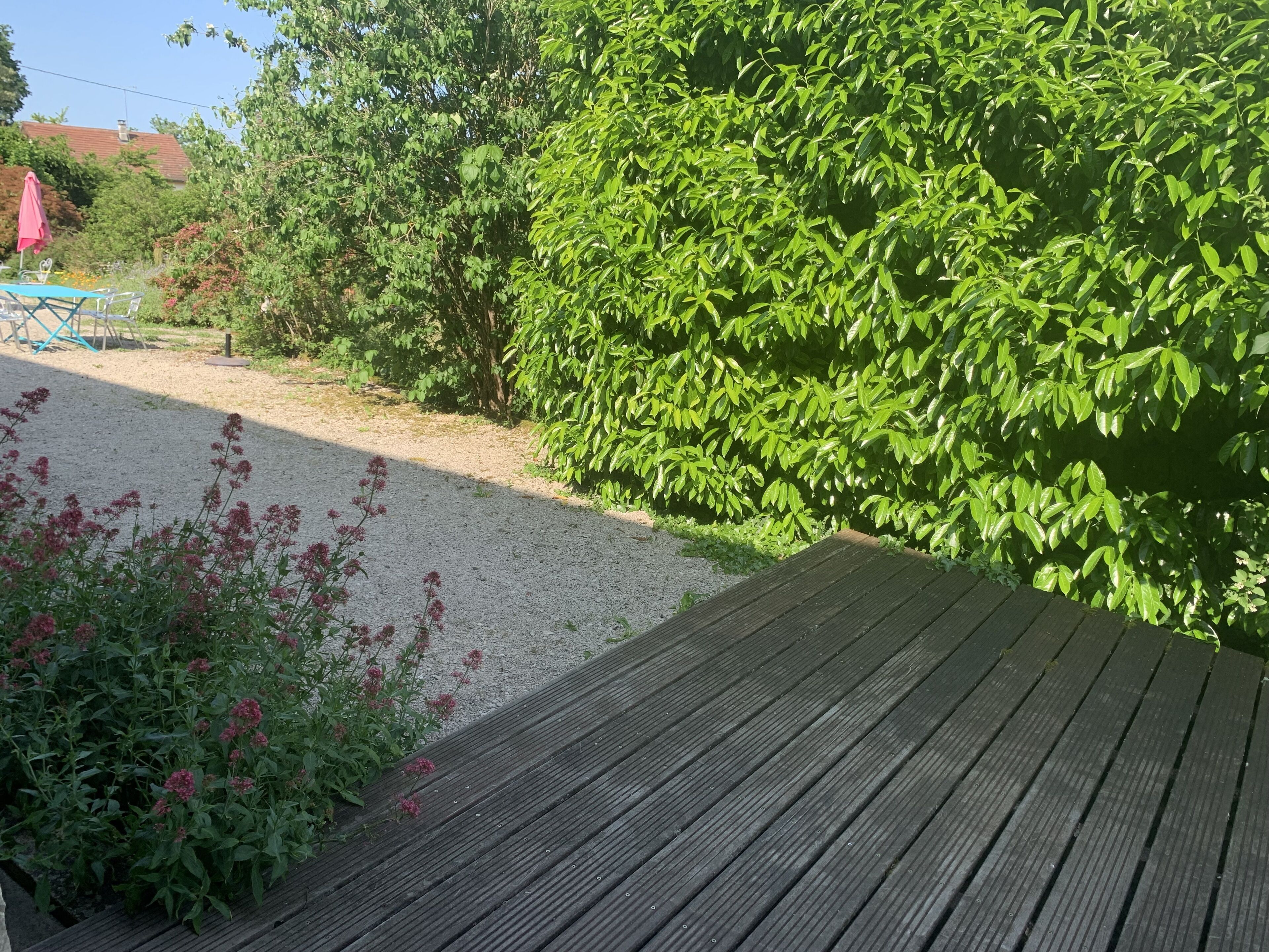 A wooden deck with a gravel path and dense green foliage.