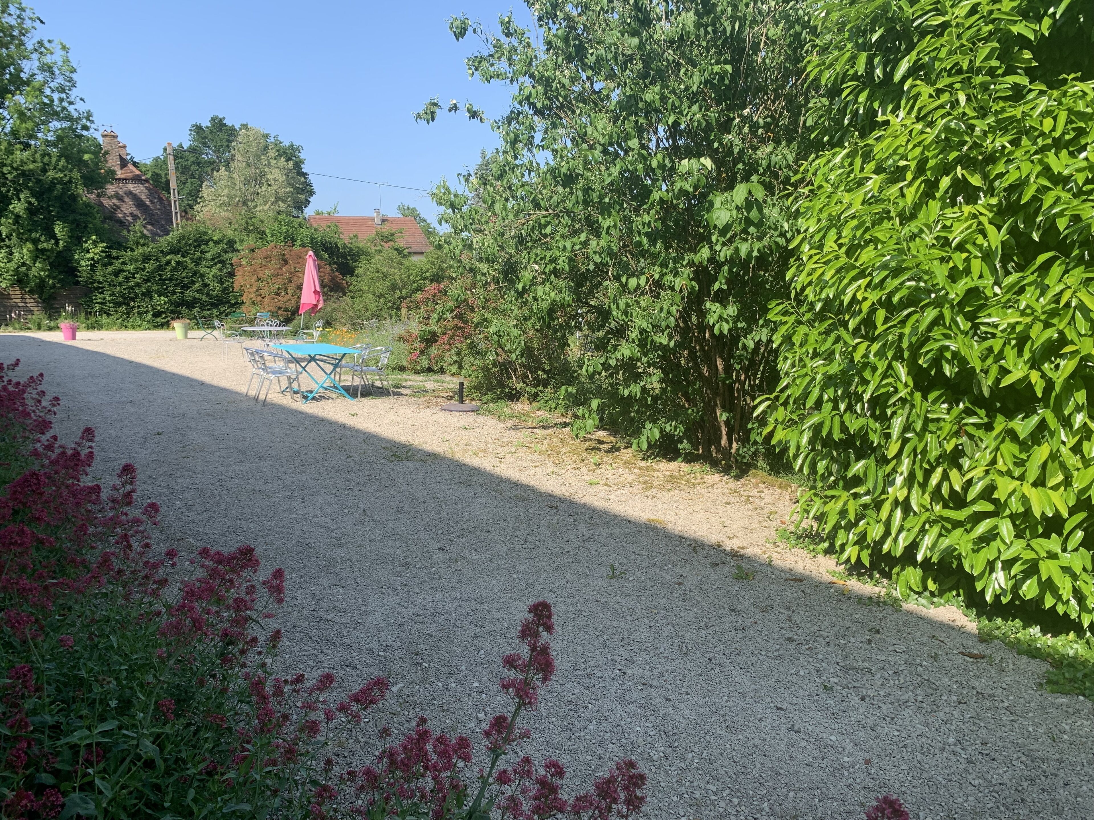 A gravel path with a blue table and chairs, surrounded by dense green foliage and a pink umbrella.