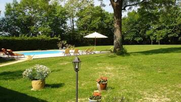 A backyard with a swimming pool, lounge chairs, and potted plants.