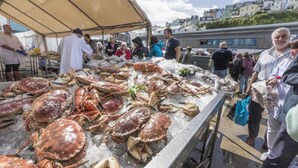 A seafood market with a variety of seafood displayed on ice.