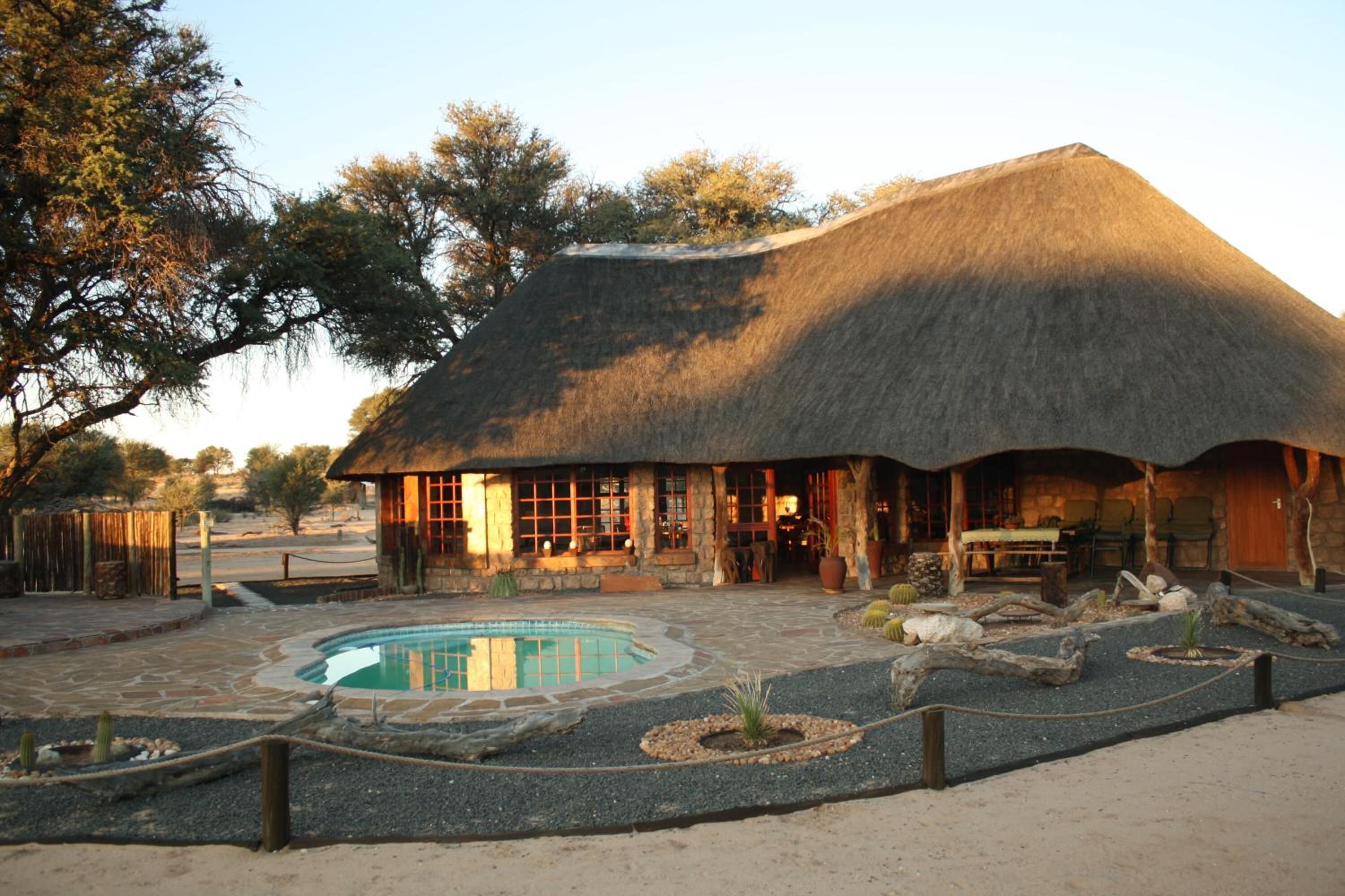 室外游泳池，提供日光浴躺椅