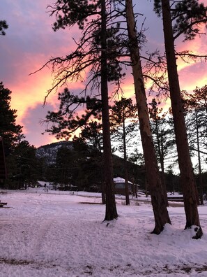 Property grounds - Charming Updated Rustic Studio. Excellent Location Close to Town & RMNP!  (Estes Park)