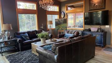 TV connectée, cheminée, lecteur de DVD, livres