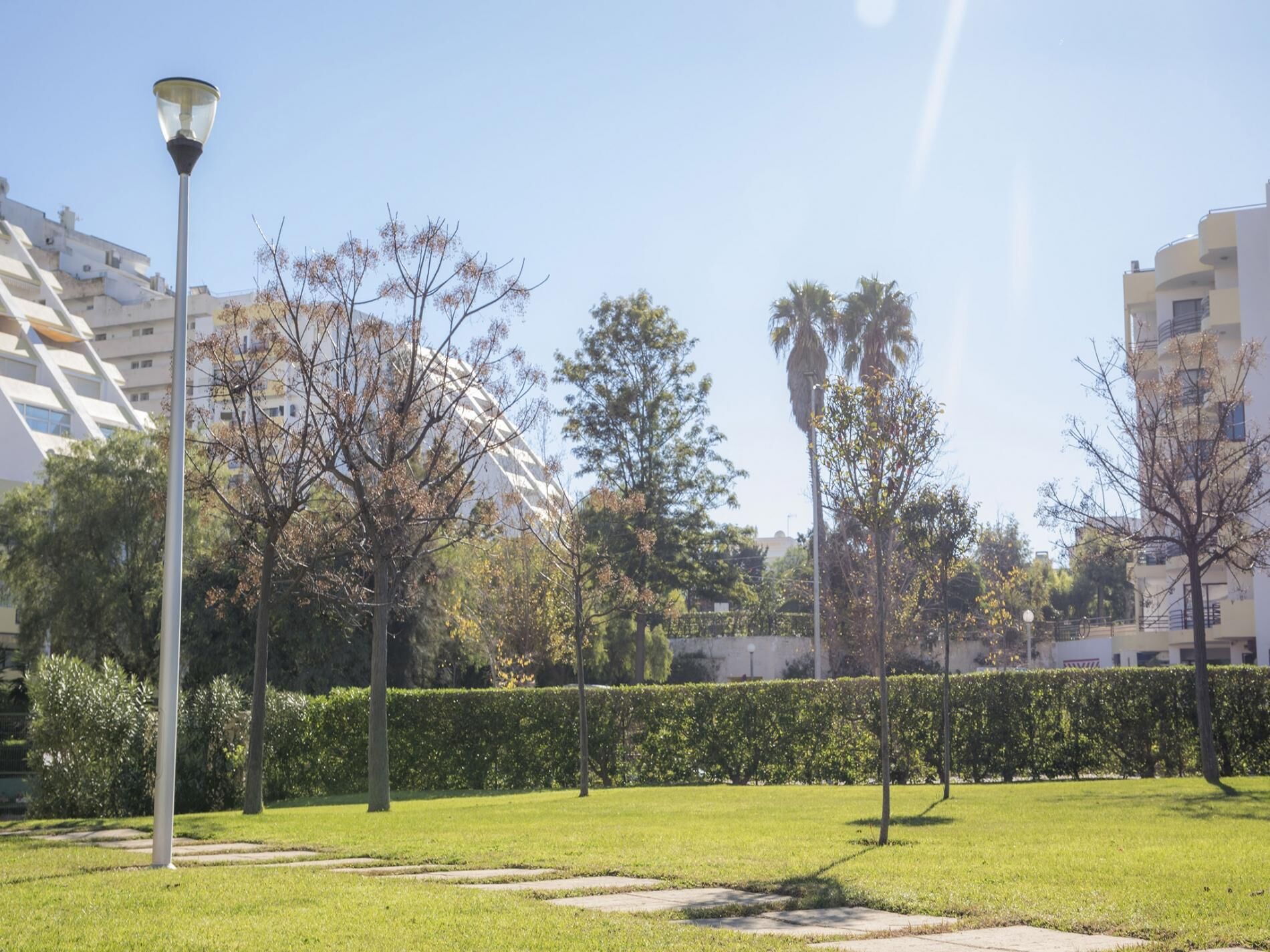 Apartamento (1 Bedroom) | Plano