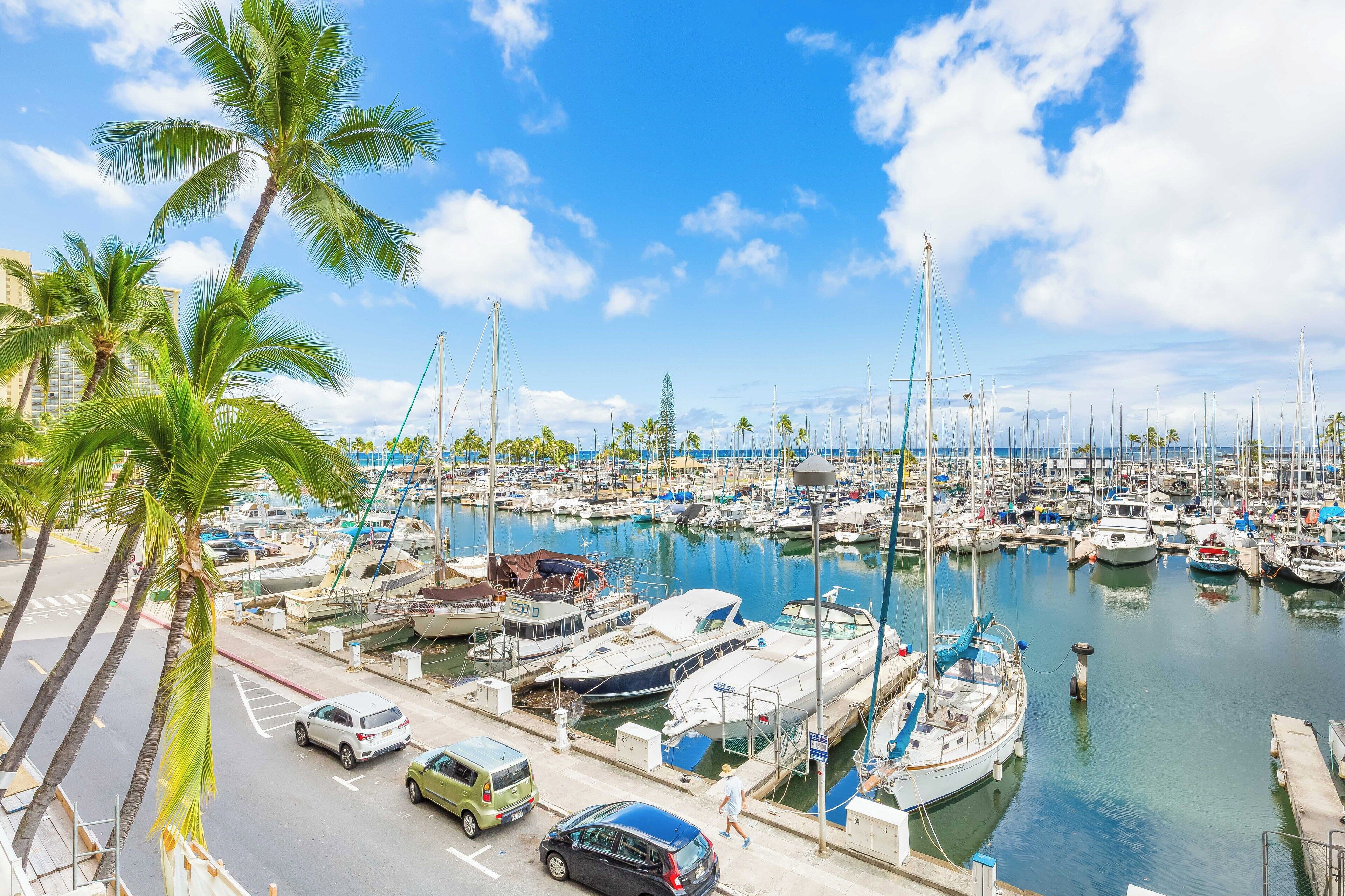Un port de plaisance où sont amarrés de nombreux bateaux, avec des palmiers et un ciel bleu azur.