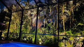 A pool with a tropical view, surrounded by palm trees and a glass enclosure. - Walk to Vanderbilt Beach, Pets, 2 Mstrs w Kings beds, htd pool, bikes, BBQ (North Naples)