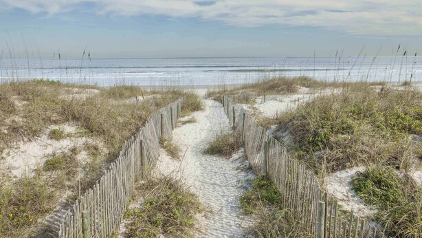 Un sendero arenoso que lleva a una playa, con una cerca de madera y vegetación escasa.