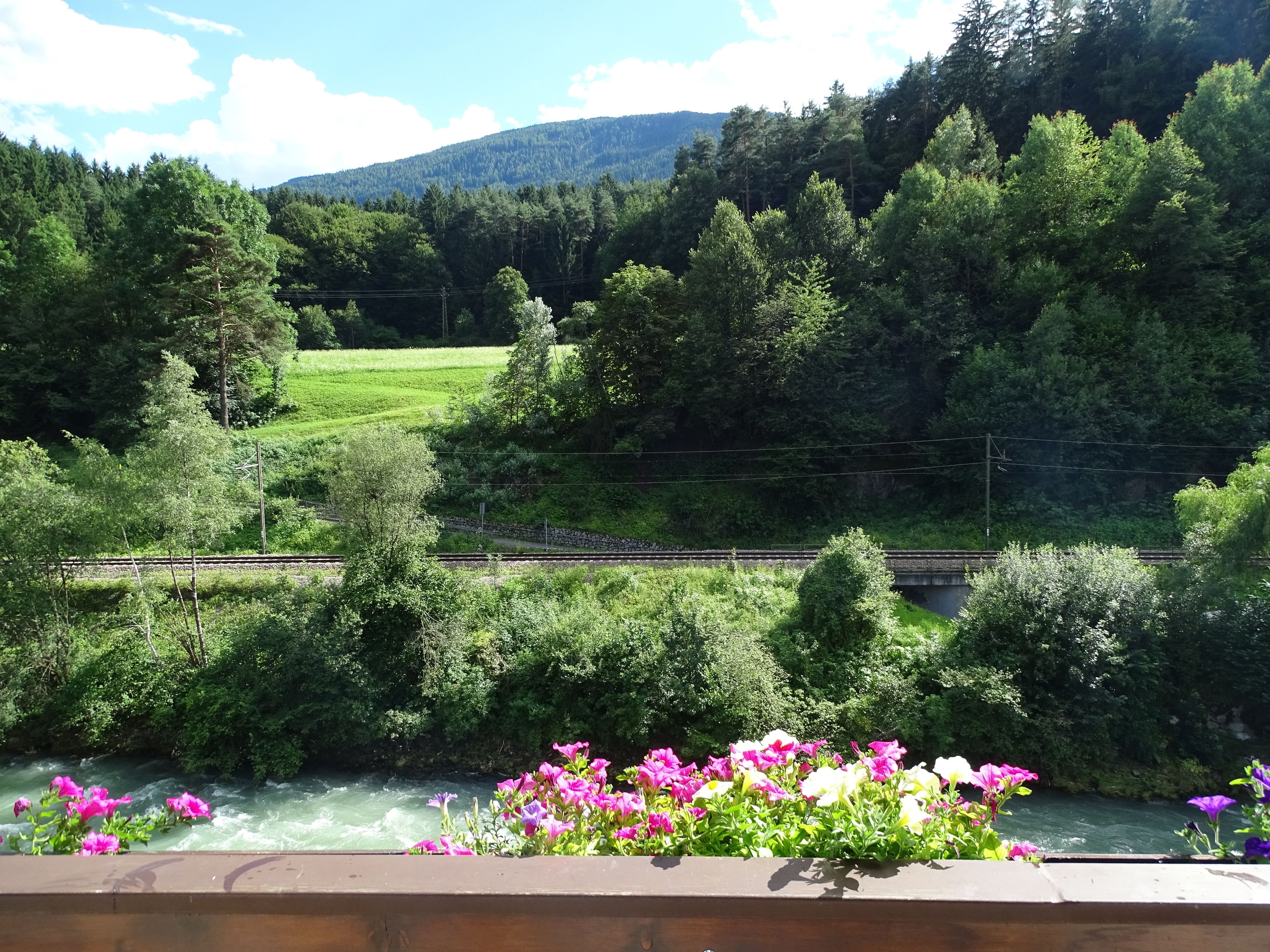 A scenic view of a river with vibrant flowers in the foreground, a railway track, and a forested hillside in the background.