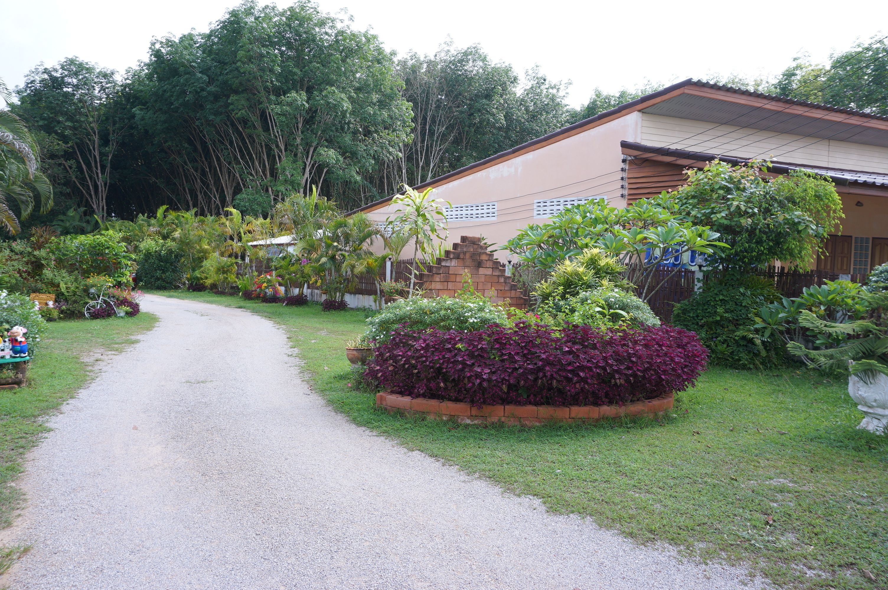 A pathway leading to a building surrounded by lush greenery and a variety of plants.