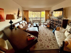 TV connectée, livres, vidéothèque, chaîne hi-fi