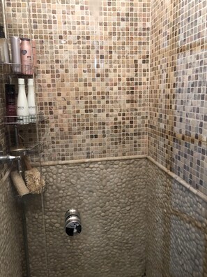 Combined shower/bathtub, hair dryer, towels, soap - Writer's Pad ~ KILLER location! Near La Jolla, Downtown, beach, walk to Trolley! (San Diego)
