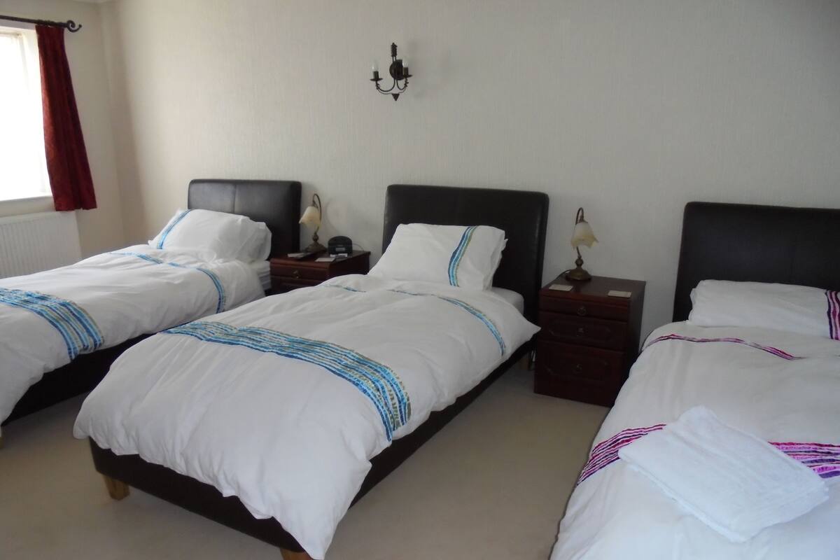 Triple Room | Soundproofing, iron/ironing board (on request), WiFi (free), bed sheets