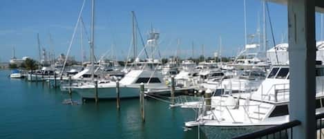 Marina