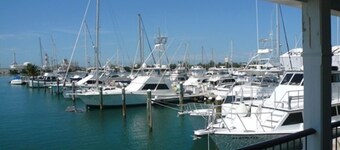 'Oceanside Oasis' Direct Ocean Views & 3 BR'S