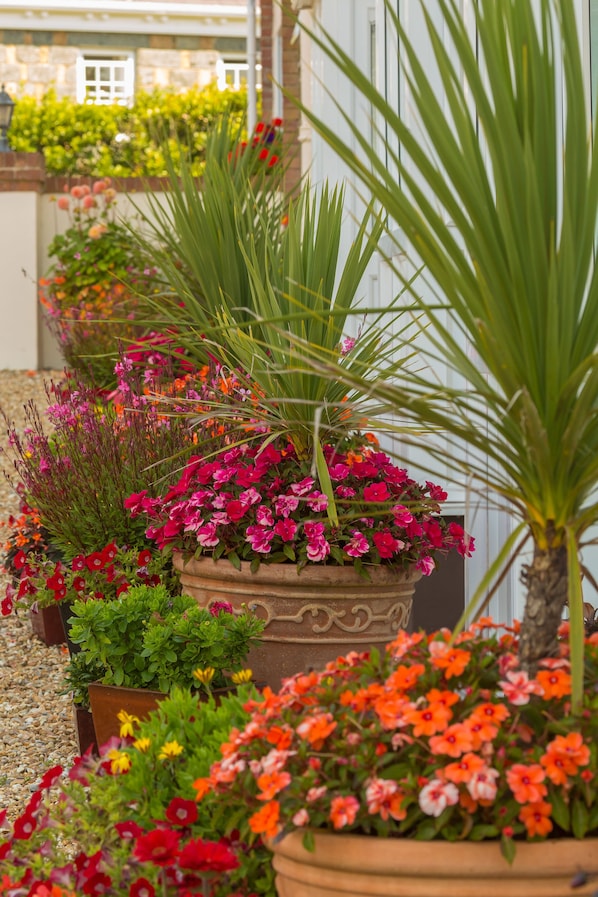 A variety of potted plants and flowers in a garden setting.
