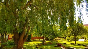 A serene garden with mature trees, a stone fountain, and a wooden bench. - Ostsee-Rittergut-Rügen – BinzHotel & OrdensKapelle (Binz)