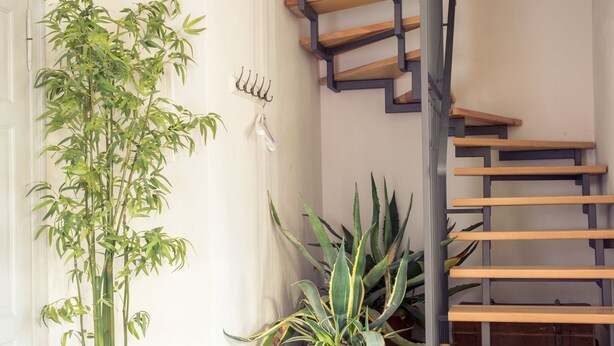 A staircase with wooden steps and metal railings, a potted plant, and a checkered floor. - Grafschaft Kloster Zinna (Jueterbog)