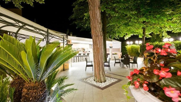 An outdoor patio area with a dining table and chairs, surrounded by potted plants and a large tree.