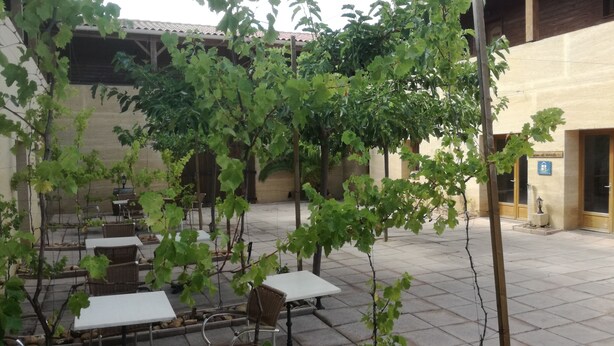Un patio al aire libre con mesas y sillas, rodeado de parras.
