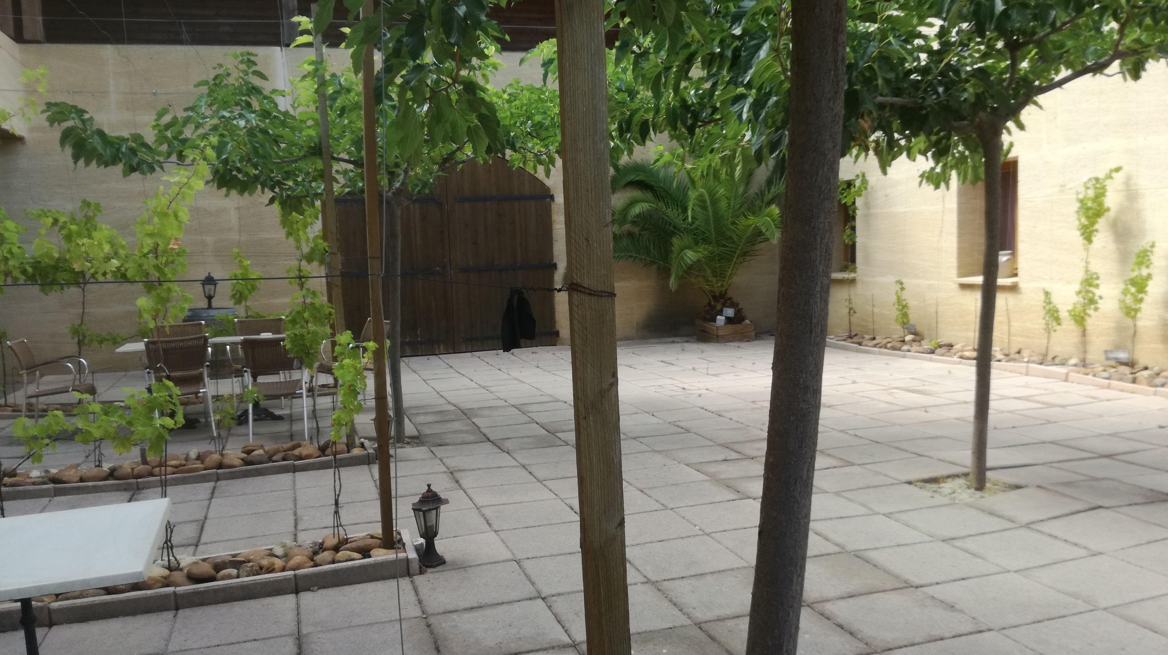 An outdoor patio area with a table and chairs, surrounded by potted plants and trees.