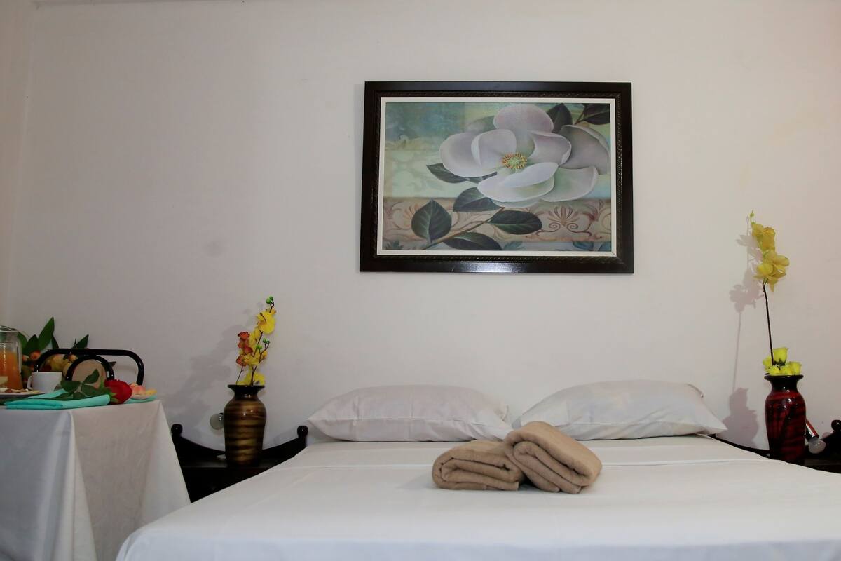 Phòng đôi, 1 giường đôi | Nôi (giường cho trẻ sơ sinh) miễn phí, giường gấp/giường phụ (miễn phí)