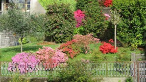 A garden with various flowering plants and a stone wall. - Albergo Riva (Leggiuno)