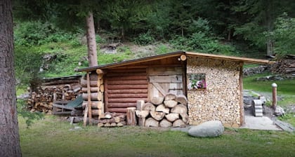 Camping Hotel La Pineta