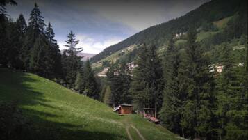 Eine Berglandschaft mit einer kleinen Hütte, umgeben von dichtem Wald.