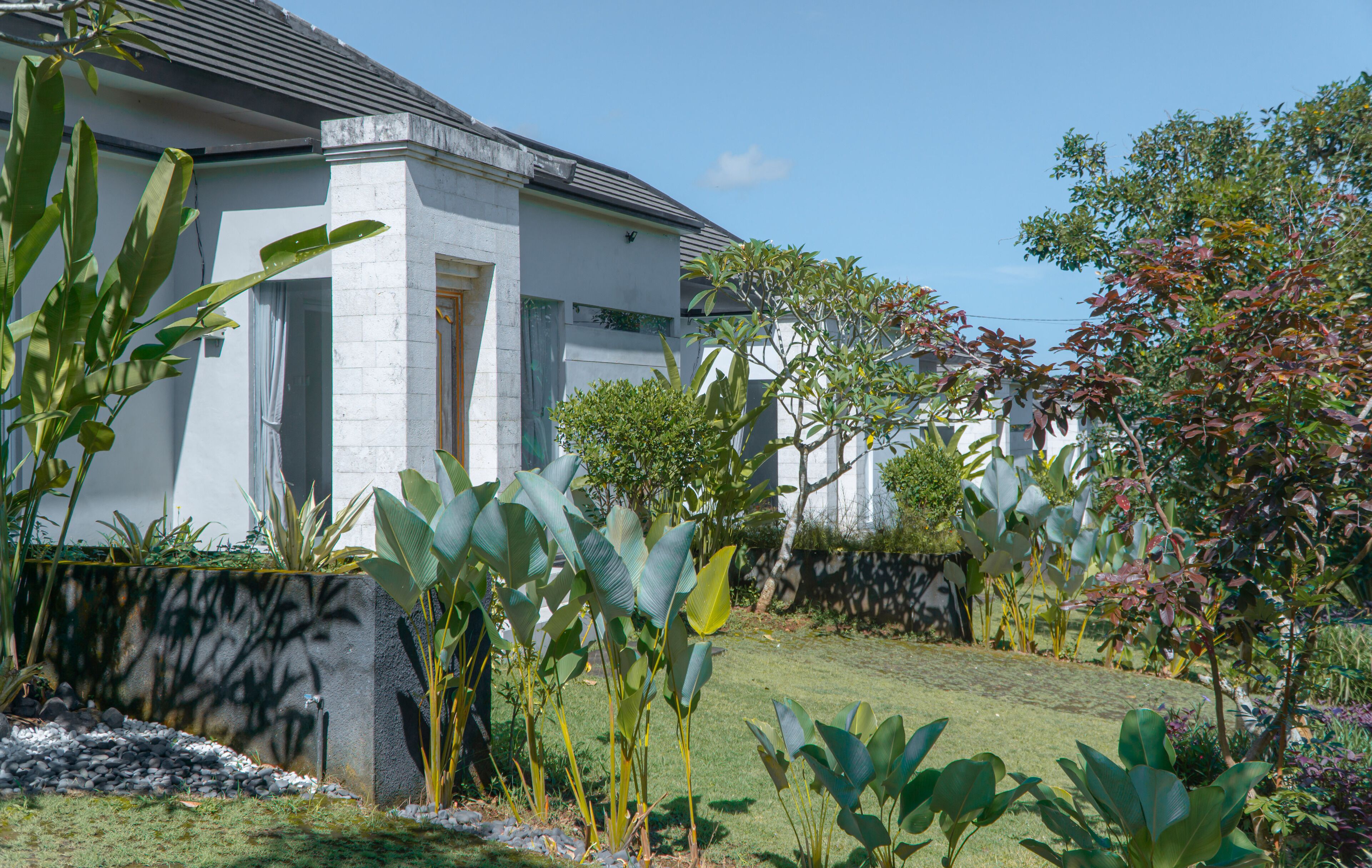 A modern house with a white exterior, a well-maintained garden with various plants, and a clear sky.