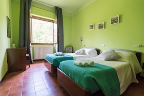 A room with two beds, a window with curtains, a radiator, and a small desk. - La Genzianella (Miasino)
