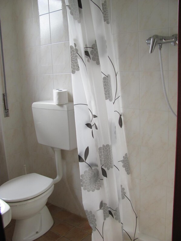 A bathroom with a toilet, a shower, and a curtain with a floral pattern. - La Genzianella (Miasino)