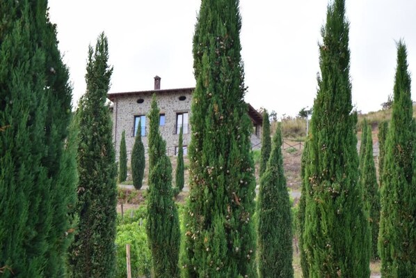 Detalle del exterior