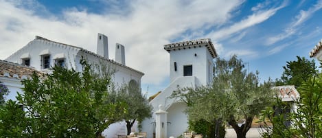 Un patio con mobiliario exterior, edificios blancos y olivos.