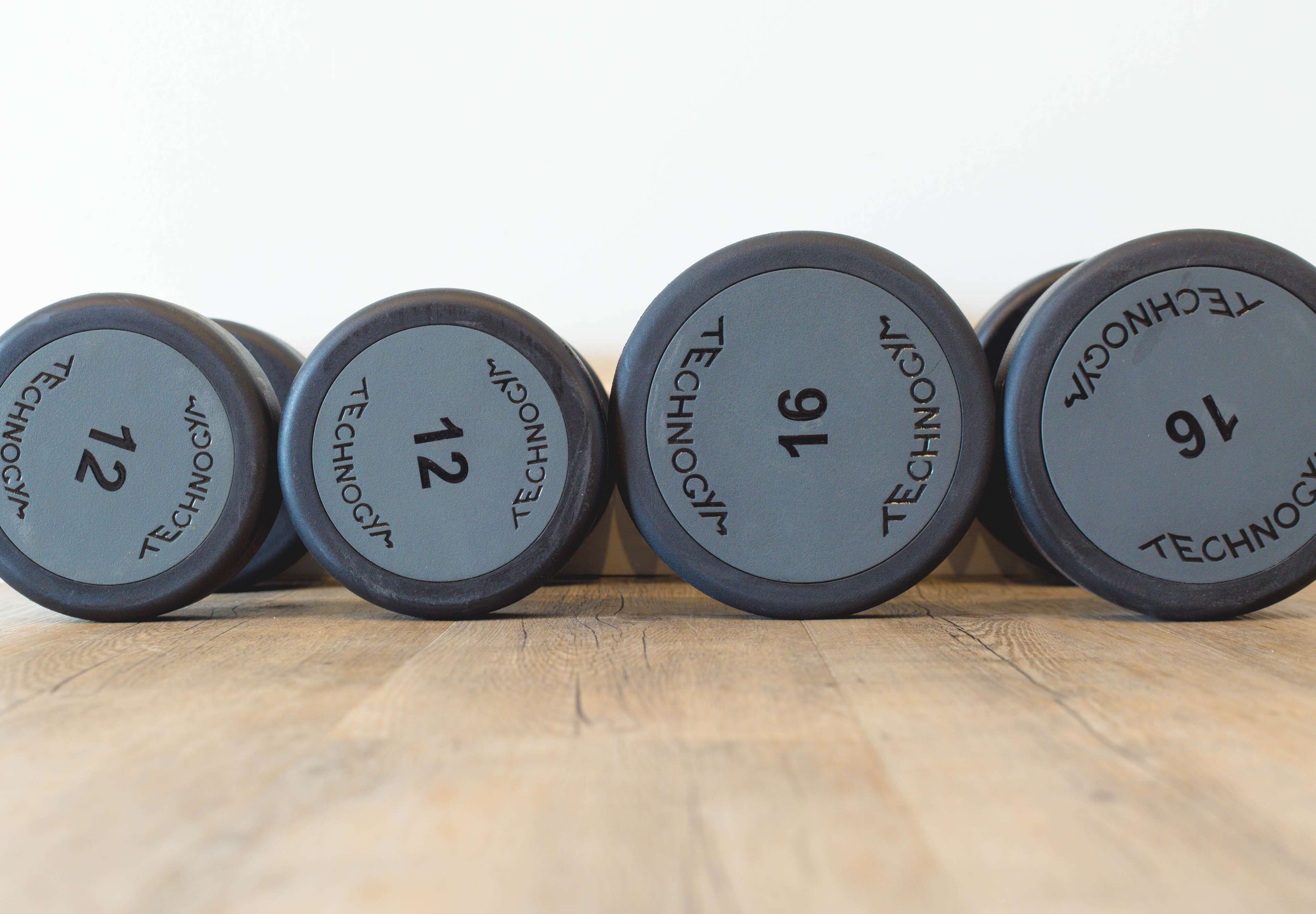 Four weight plates labeled with numbers 12, 13, 14, and 16, arranged in a row on a wooden surface.